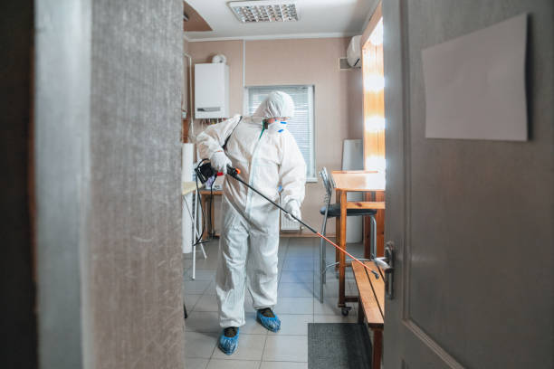 Reliable Green Knoll, NJ Mold Removal Solutions